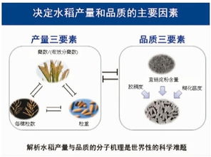 2017年度國家科技獎勵大會 自然科學(xué)研究的新高度與時代使命