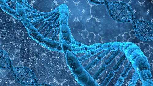 轉基因蚊子 科學探索與生態平衡的雙刃劍